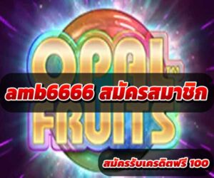 amb6666-สมัครสมาชิก-1