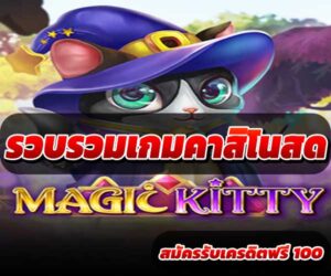 รวบรวมเกมคาสิโนสด