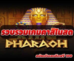รวบรวมเกมคาสิโนสด