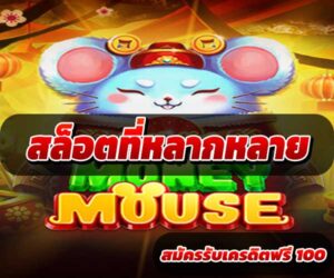 สล็อตที่หลากหลาย