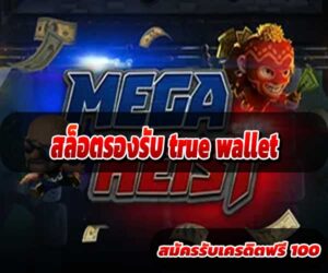 สล็อตรองรับ true wallet