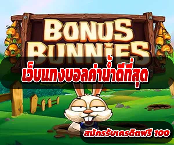 เว็บแทงบอลค่าน้ำดีที่สุด