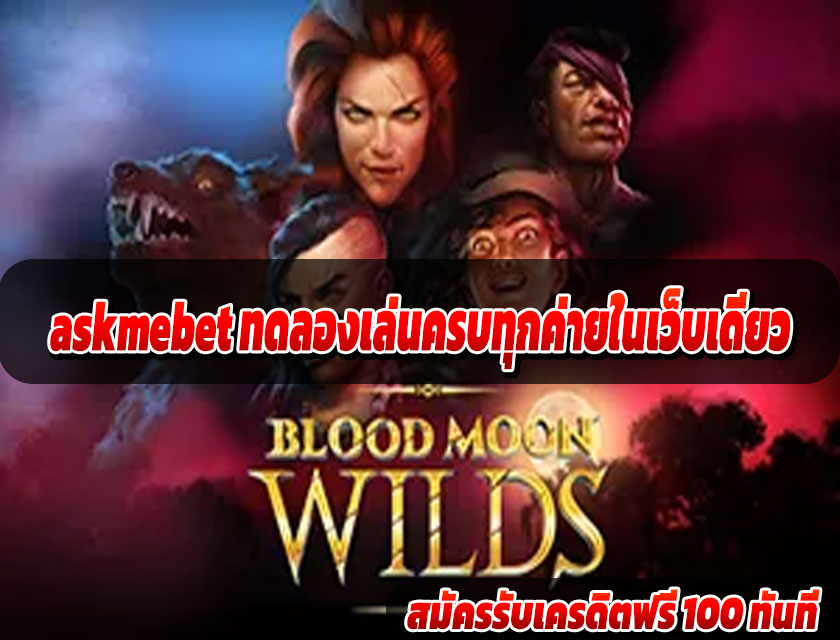 askmebet ทดลองเล่นครบทุกค่ายในเว็บเดียว